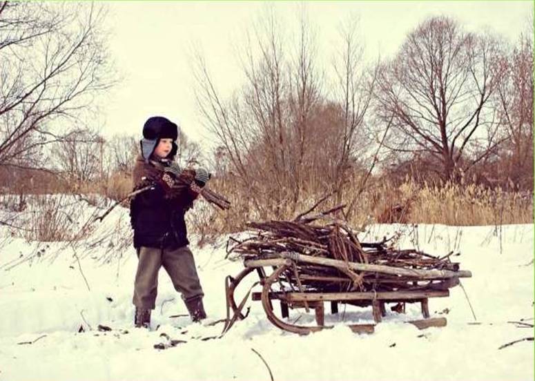 ПАМЯТКА для граждан, осуществляющих заготовку и сбор валежника для собственных нужд, изображение №10